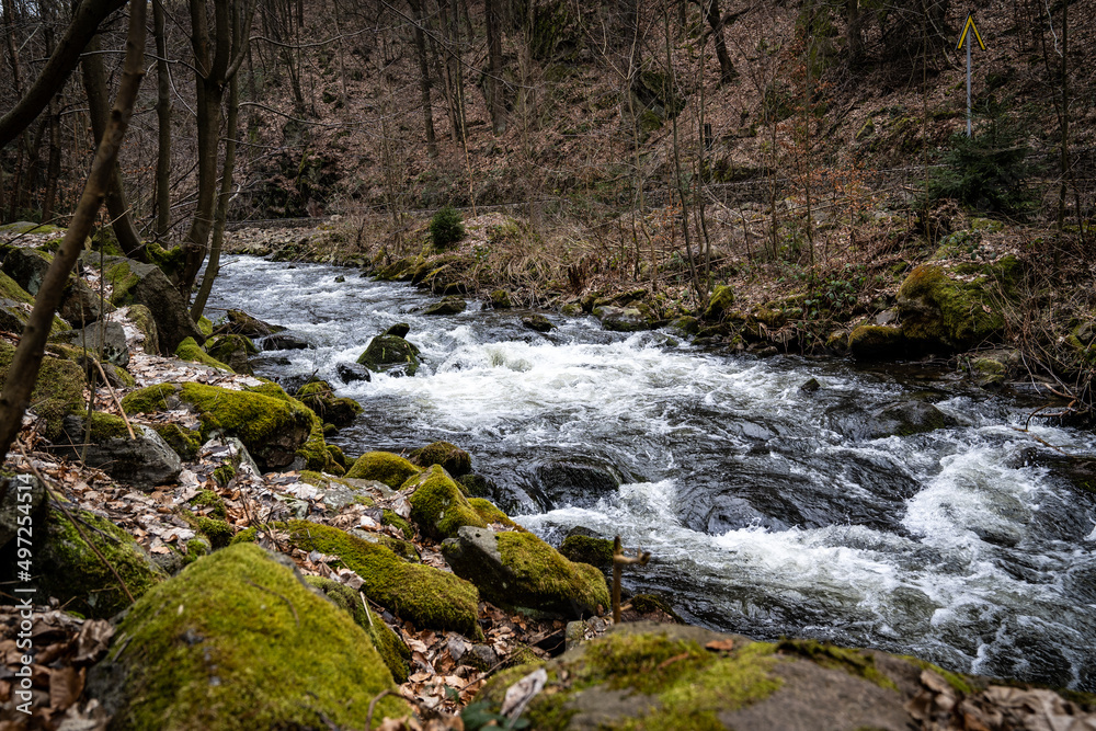 Wandern am Bachlauf Wandern am Bachlauf