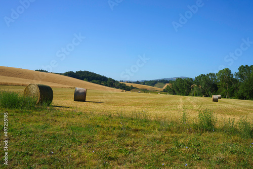 Rural landscape near Buonconvento, Tuscany, Italy photo