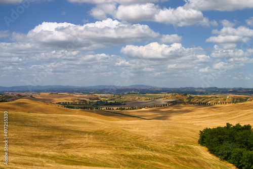 Rural landscape in Val d Orcia  Tuscany  Italy