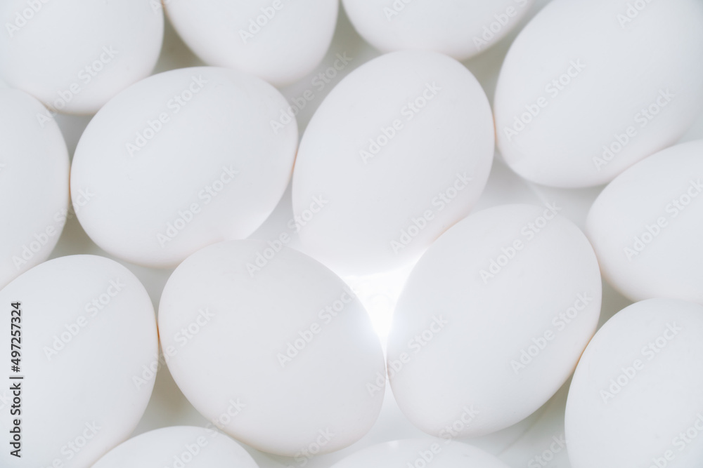 Close up of many white eggs background. Raw eggs on a white backlit platform Close up of many white eggs background. Raw eggs on a white backlit platform