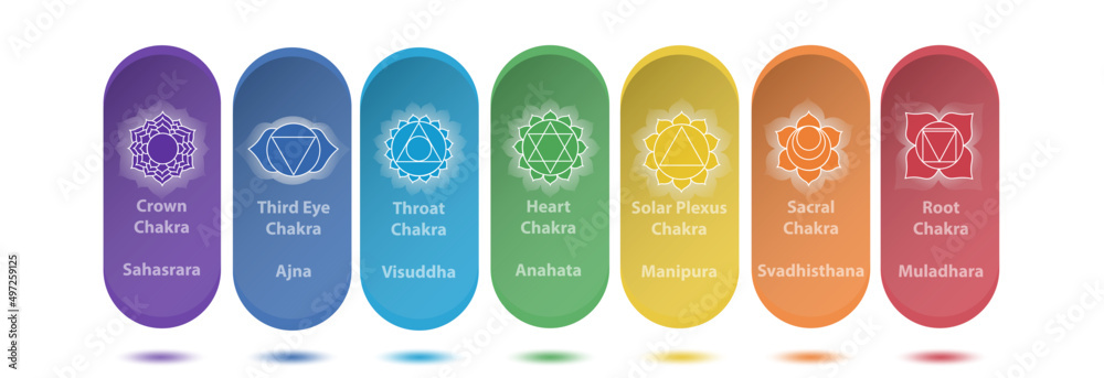 Vector set of seven chakras with color. Symbols for spa, meditation and ...