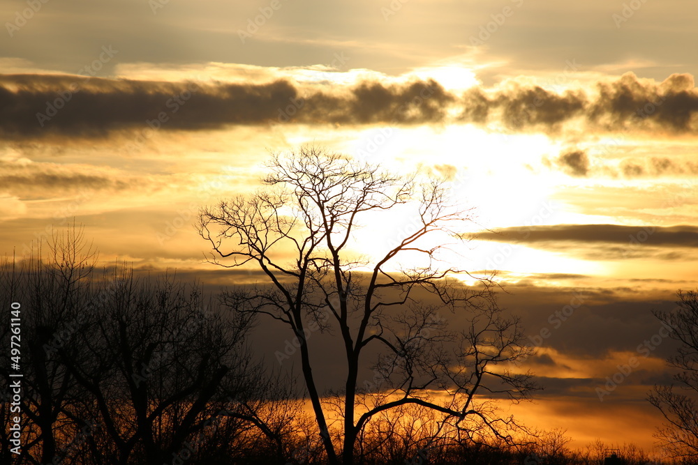 Fototapeta premium Evening Sky Silhouette