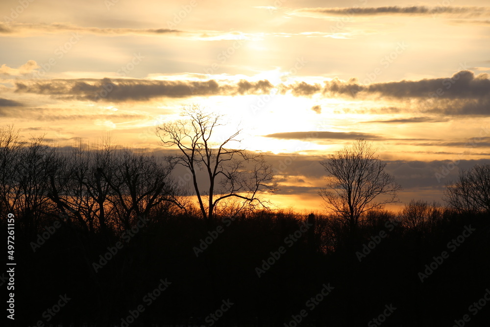 Obraz premium Evening sunset