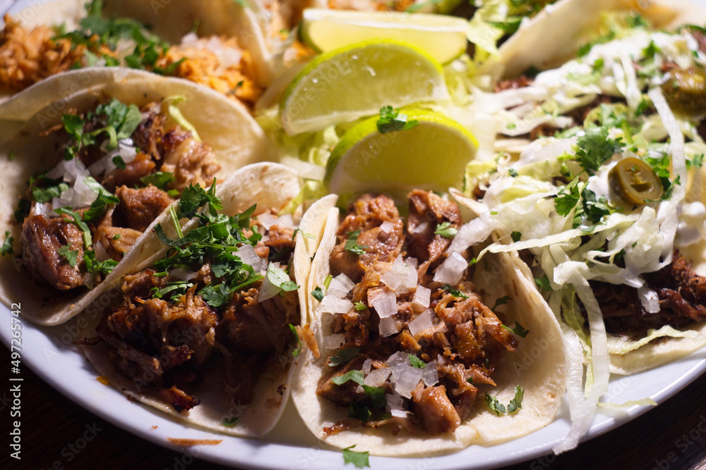Party plate of authentic Mexican meat taco - carne asada, carnitas and barbacoa Party plate of authentic Mexican meat taco - carne asada, carnitas and barbacoa