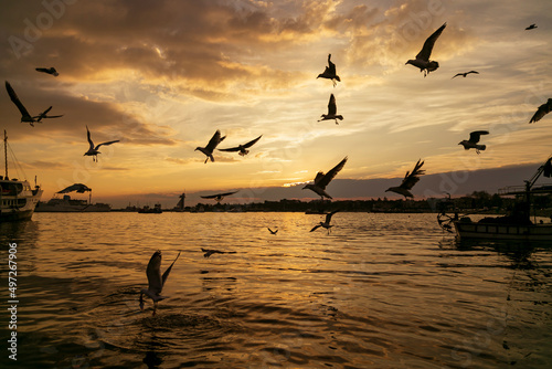 amazing sky and sunset. seagulls and bird are flying © Birol