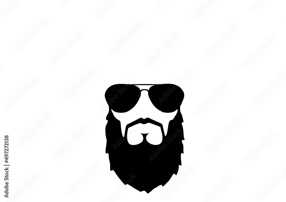 visage barbu visage barbu
