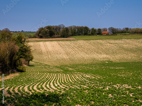 Downland Farmhouse photo