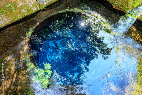 Tableau sur toile 初春の柿田川湧水群　静岡県清水町　Kakita River springs in early spring