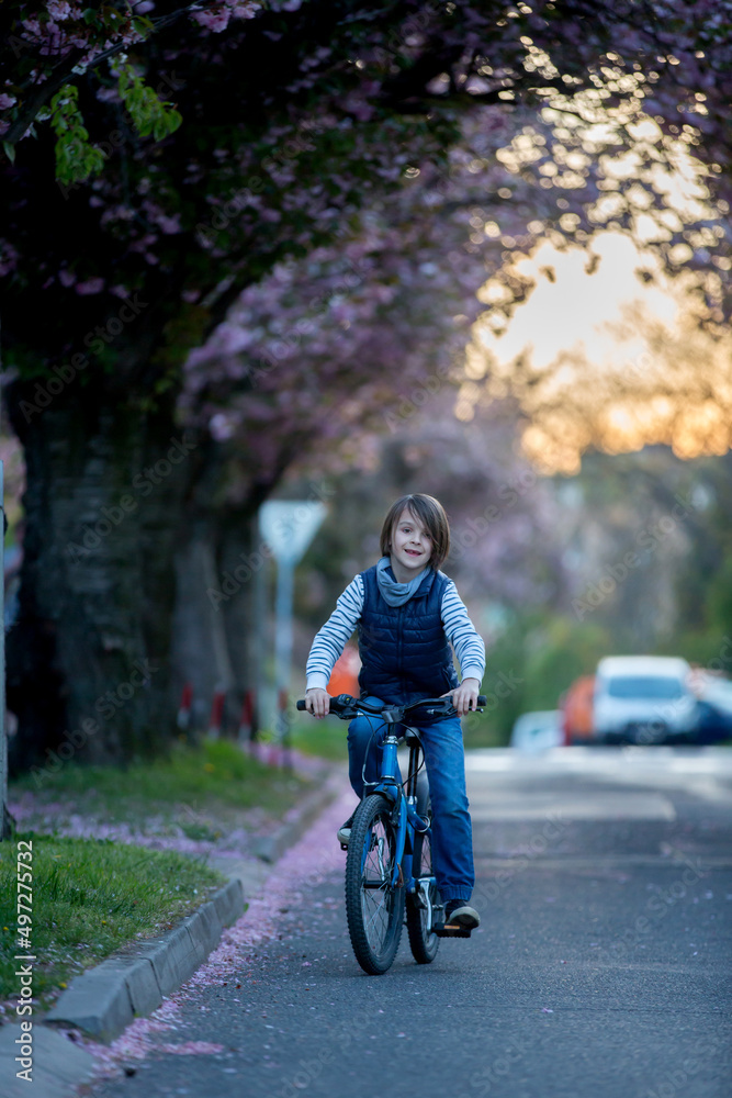 Fototapeta premium Children, playing on the street with blooming pink cherry trees on sunset
