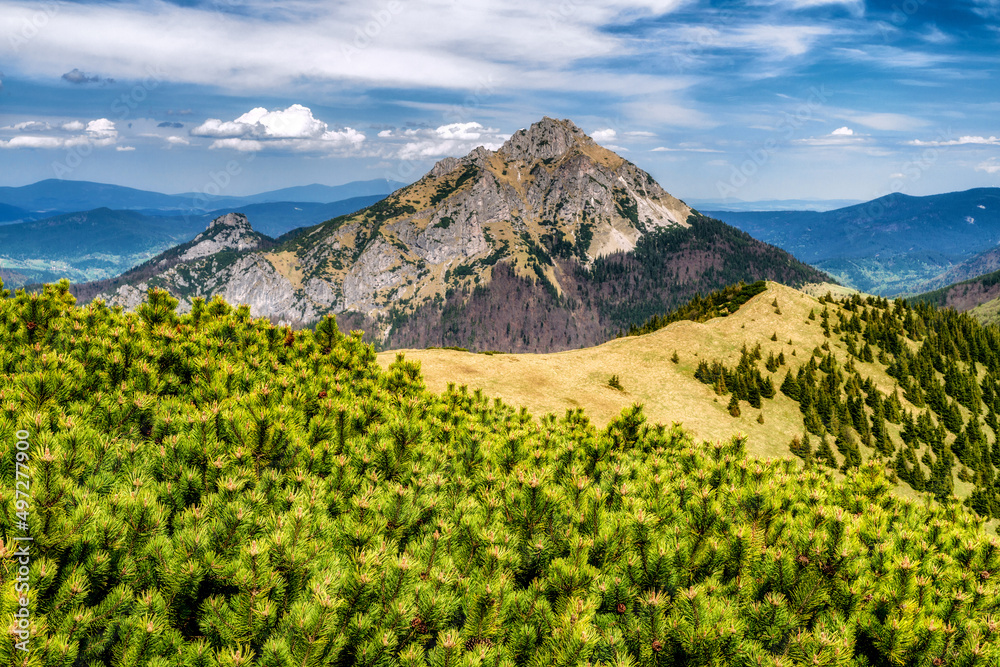 Fototapeta premium Beautiful mountain landscape and hill Rozsutec, Slovakia