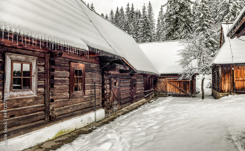 Wooden rural cottage in snowy village in winter
