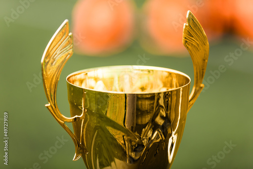 Closeup image of the golden cup. Golden sports trophy; sports grass pitch in the background. Shiny metal trophy as an award for winning the team photo