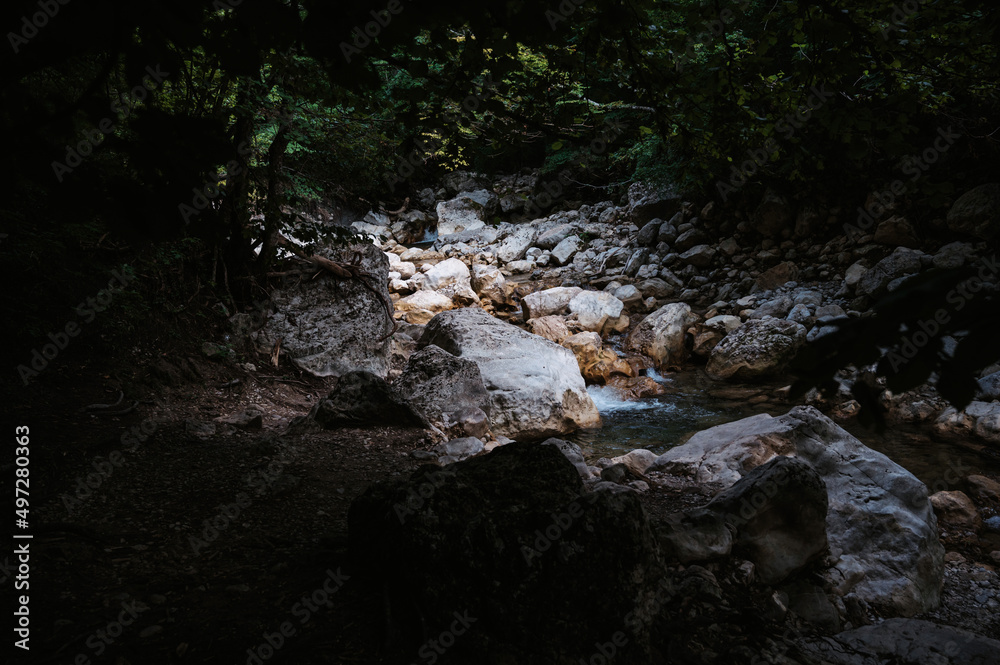 mountain stream with clear water among the rocks in forest mountain stream with clear water among the rocks in forest