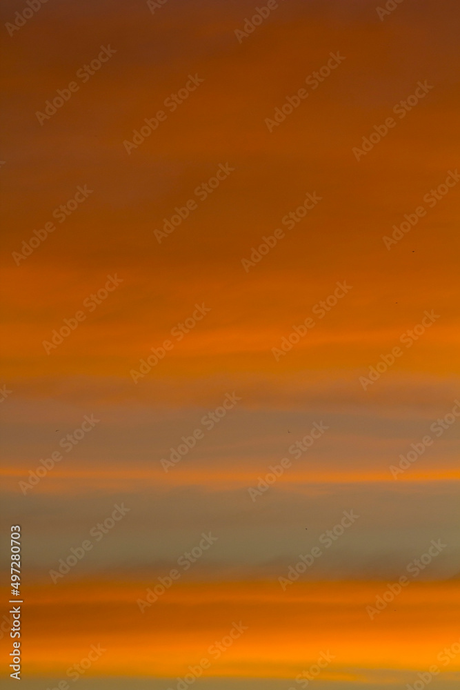 The sky is a horizontal line of yellow-orange and colorful colors in the beautiful evening in the midst of nature which is peaceful, warm and romantic in the countryside and is extremely beautiful. The sky is a horizontal line of yellow-orange and colorful colors in the beautiful evening in the midst of nature which is peaceful, warm and romantic in the countryside and is extremely beautiful.