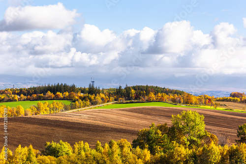 北海道美瑛、10月の紅葉風景・日本