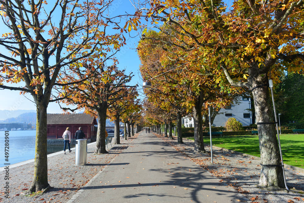 Naklejka premium Rössliwiese Luzern - Schweiz