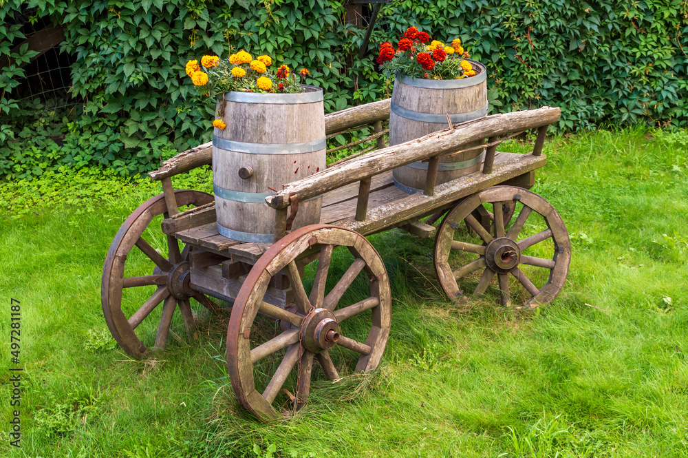 wooden barrels with blooming flowers on an old cart