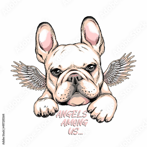 Cute french bulldog puppy with angel wings. Vector illustration in hand-drawn style. Stylish image for printing on any surface	