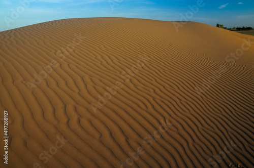 Dune landscape  La Pampa   Argentina