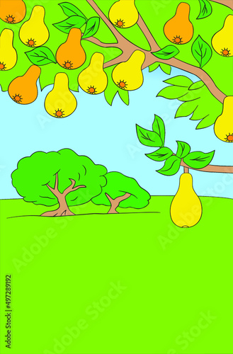 Wallpaper Mural pear fruit on a tree branch against a green meadow, cartoon, drawing Torontodigital.ca