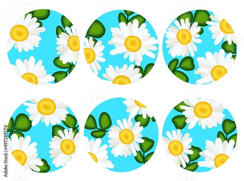 Set of chamomile flowers in round frames. Space in blue with clover leaves and chamomile flowers. Simple vector illustration for print. Suitable for storytelling, manicure. Round icons.