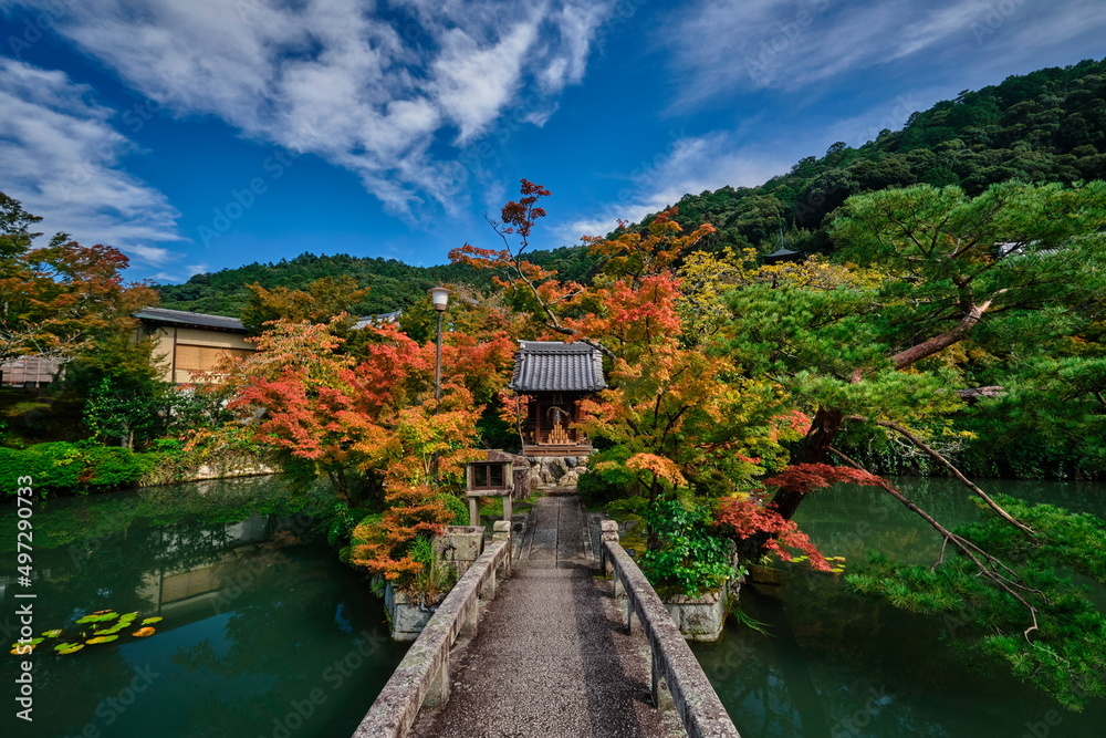 京都　永観堂　池