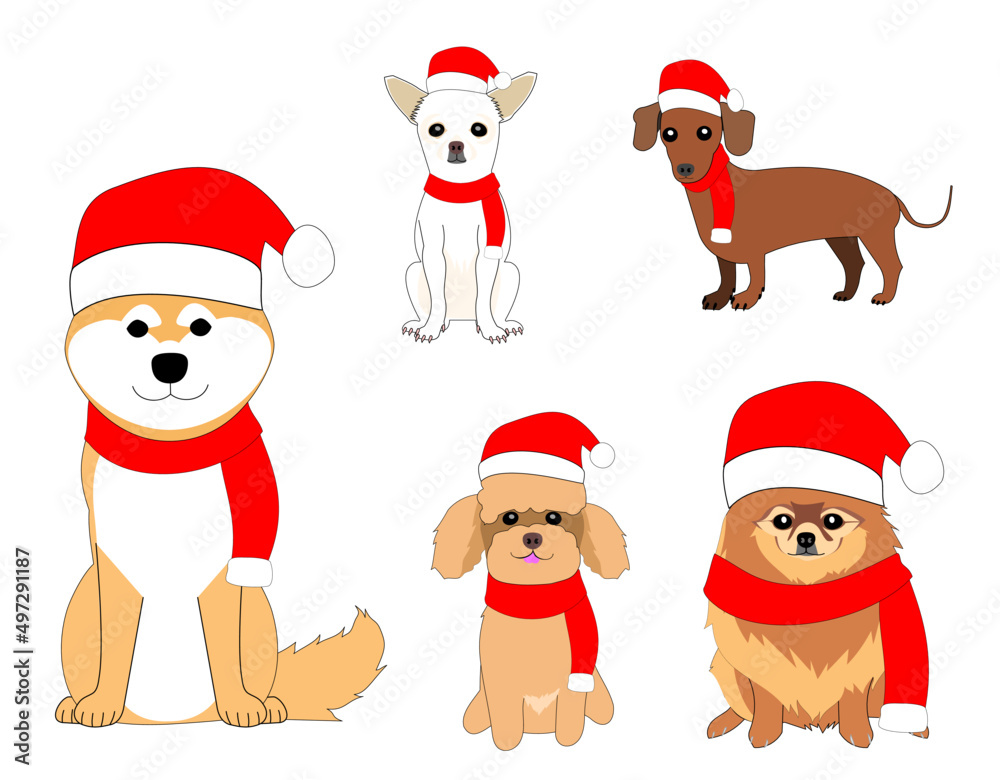 A collection of various dogs in Santa clause hat and knit with white background