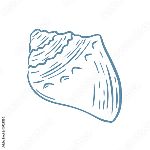 Seashell sketch vector illustration. Ocean shell hand engraving isolated object. Underwater inhabitant decoration