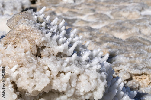 Round salt crystals of the Dead Sea closeup in the rays of the sun. Israel photo