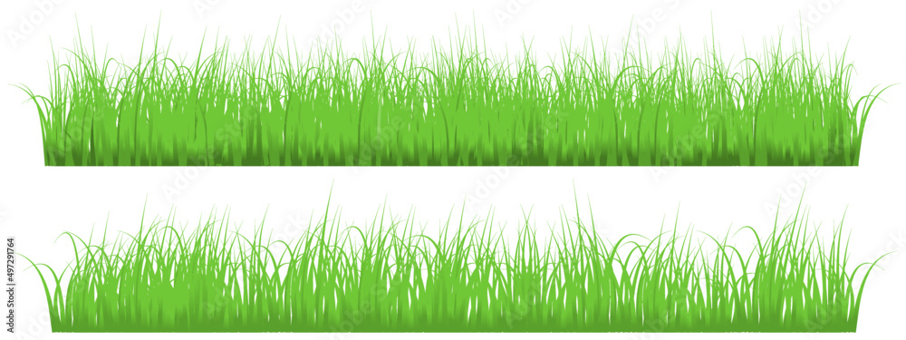 grass banner, green grass isolated on white