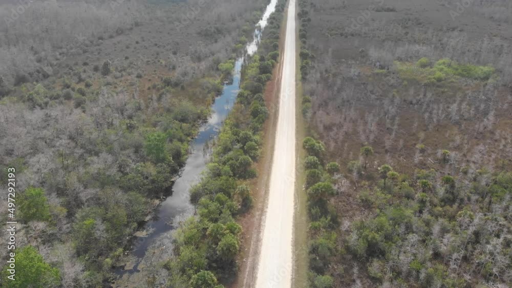 endless dirt road canal swamp forest horizon remote everglades big cypress florida aerial drone tilt reveal.mp4 endless dirt road canal swamp forest horizon remote everglades big cypress florida aerial drone tilt reveal.mp4