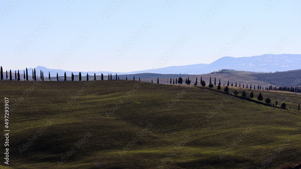 landscape with fence and hills