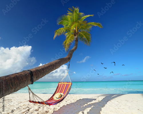 Fototapeta Naklejka Na Ścianę i Meble -  caribbean beach with hammock on a palm tree
