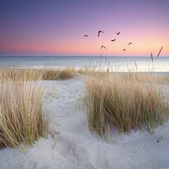 Fototapete Lavendelfarbene Motive Sonnenaufgang am Strand mit Meerblick  © Jenny Sturm