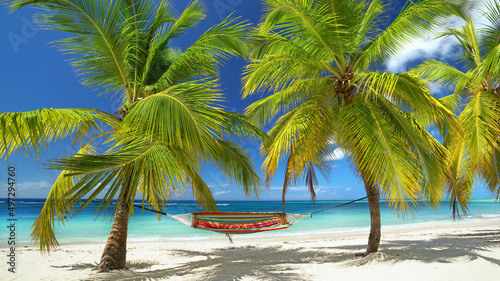 exotic beach with hammock