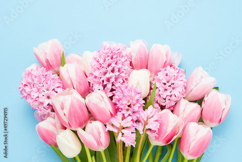 Bunch of pink hyacinths and tulips on blue background. Mothers Day, Valentines Day, birthday concept