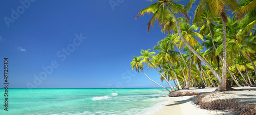 Fototapeta Naklejka Na Ścianę i Meble -  beach with palm trees and sea