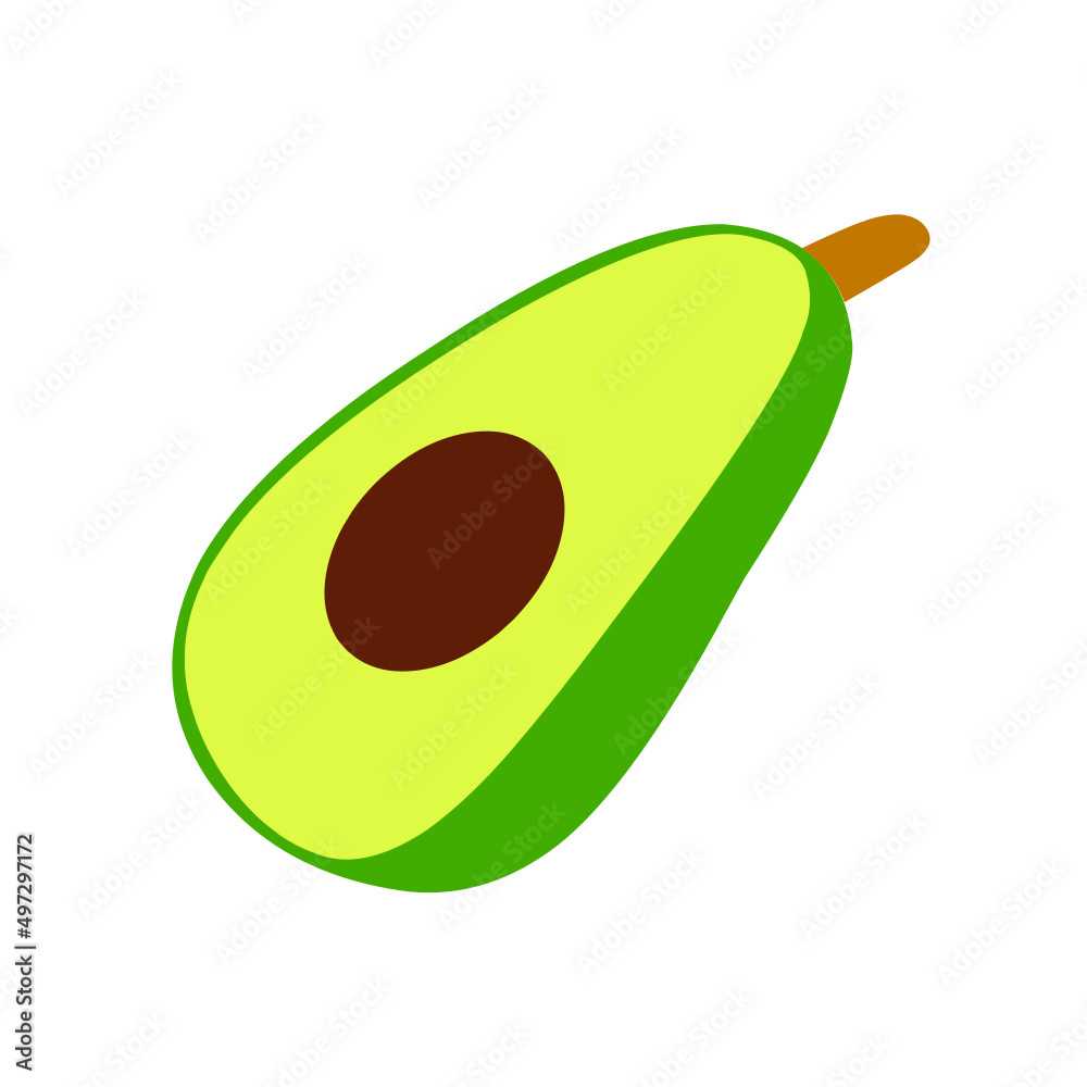 avocado fruit vector on white background avocado fruit vector on white background