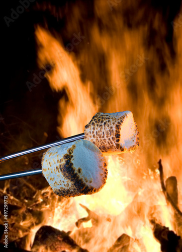 Rising flames behind marshmallows © Guy Sagi