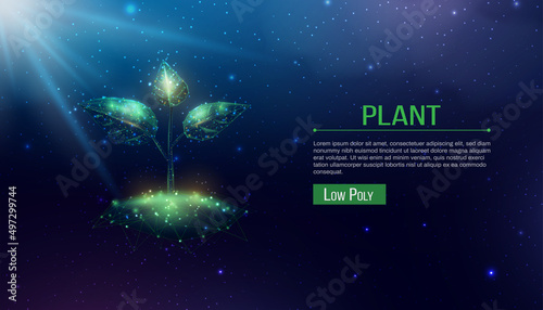 Plant sprout. Growing plant in low poly wireframe style. Abstract modern 3d vector illustration on dark blue background