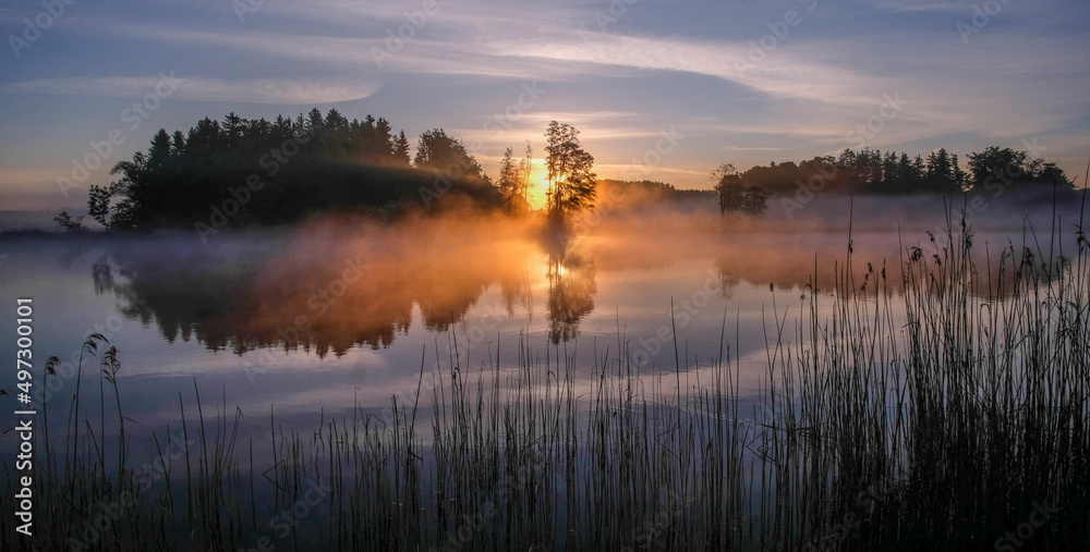 Fototapeta premium Morgenstimmung