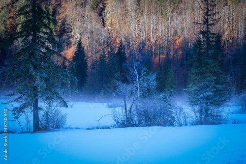 Winter