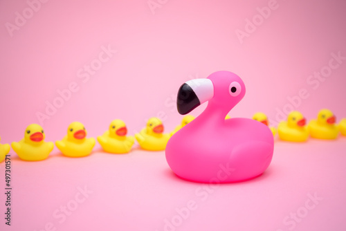 I am not a duck, said the flamingo 