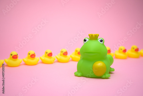 I am not a duck, said the princess frog