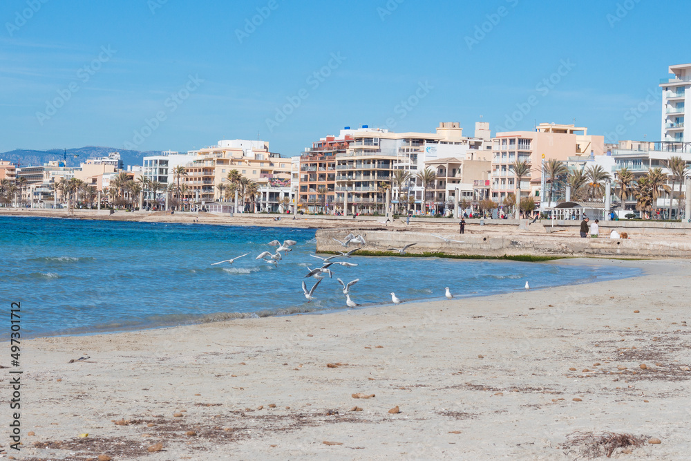Seagulls, sea and beach at the coast of Arenal, Majorca, Spain
