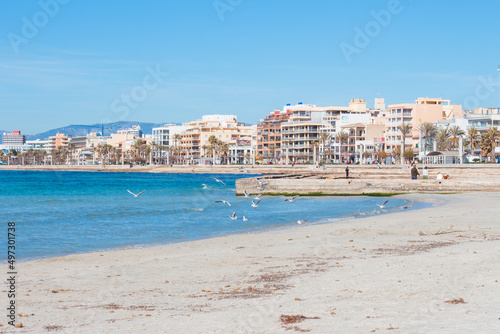 Seagulls, sea and beach at the coast of Arenal, Majorca, Spain © Radoslav