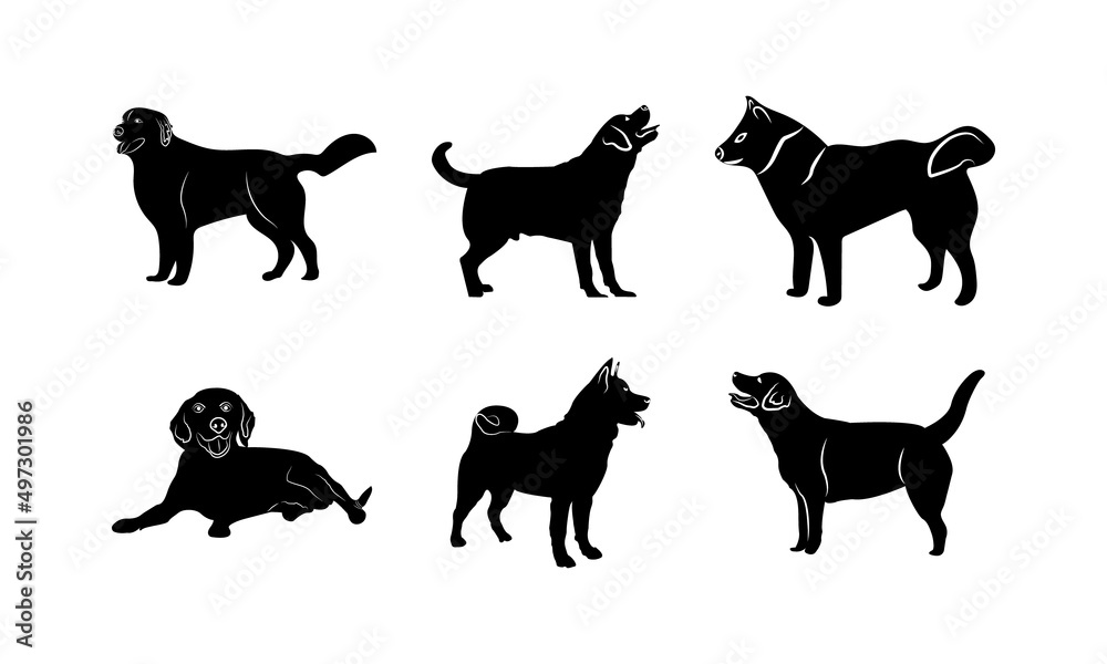 
Vector silhouette of dog on white background.