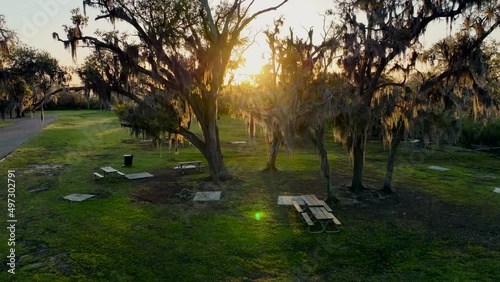 Sunset Oak Trees Spanish Moss at Fountainbleau State Park in Mandeville, Louisiana photo