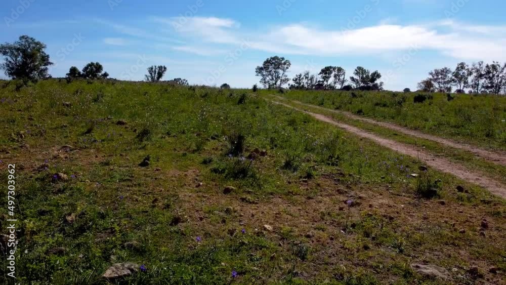Slow and low camera of a meadow with a demarcated path on the right on a sunny day. Slow and low camera of a meadow with a demarcated path on the right on a sunny day.