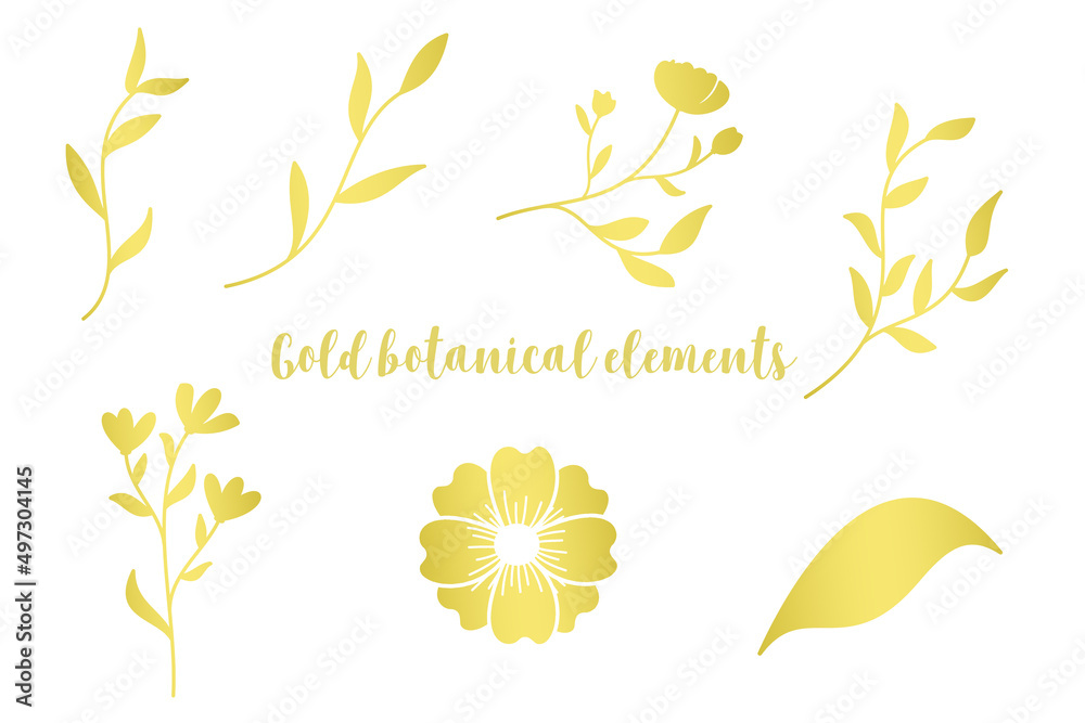 Gold botanical elements on white background